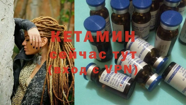 сатива Приозерск