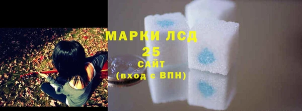 гидра Покровск