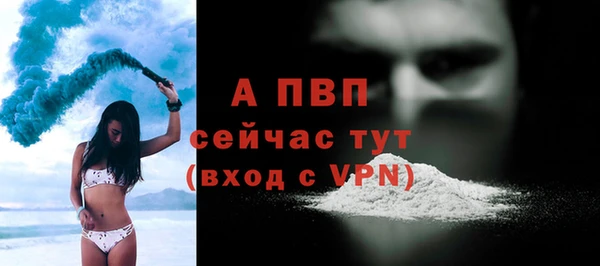 экстази Ельня